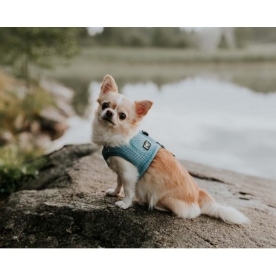 Hurtta Kamizelka chłodząca Cooling Vest niebieska XXL