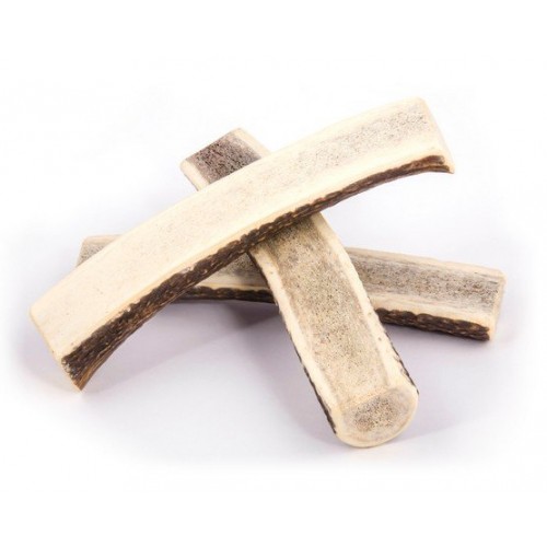 4DOGS Gryzak z poroża XXL+ easy