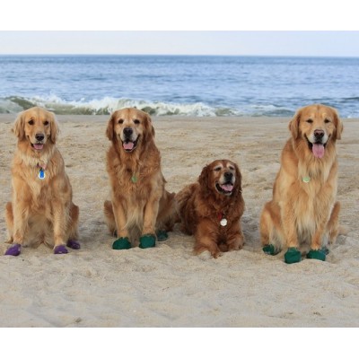 Pawz Obuwie gumowe XL 12szt