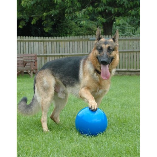 Boomer Ball L - 8" / 20cm niebieska
