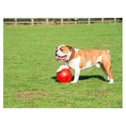 Boomer Ball L - 8" / 20cm czerwona