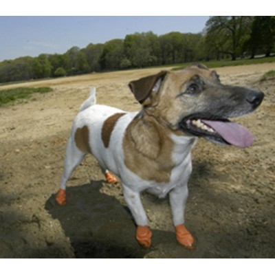 Pawz Obuwie gumowe XS 12szt