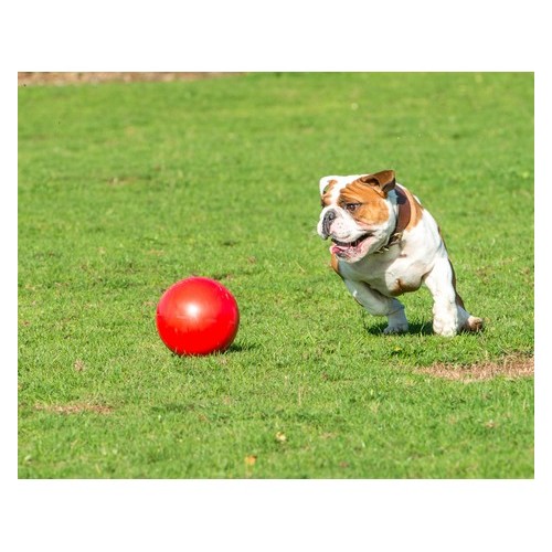 Boomer Ball M - 6" / 15cm czerwona