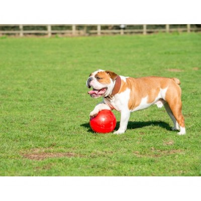 Boomer Ball M - 6" / 15cm czerwona