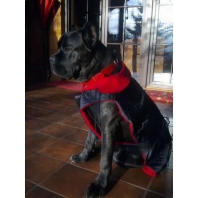 Grande Finale Derka czarna rozmiar 0 [DW08]