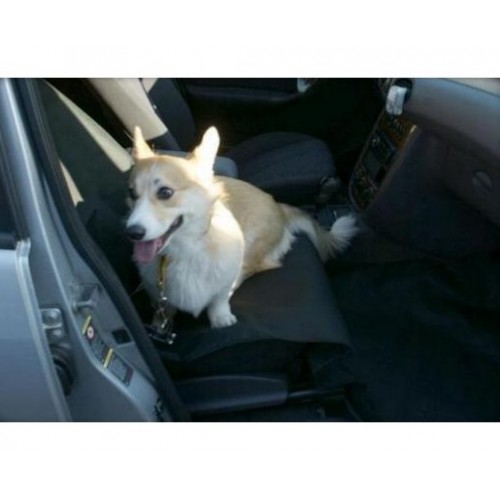 Carpatus Mata na przednie siedzenie