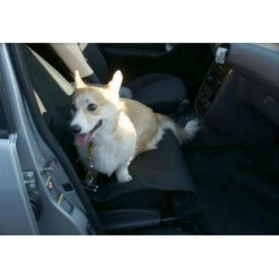 Carpatus Mata na przednie siedzenie