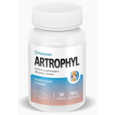 Artrophyl 30tabl. - układ ruchu