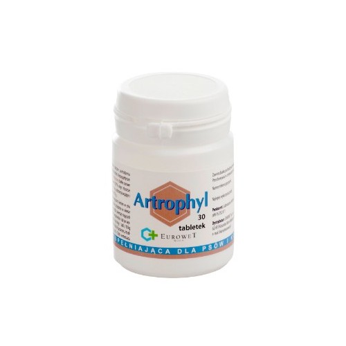 Artrophyl 30tabl. - układ ruchu