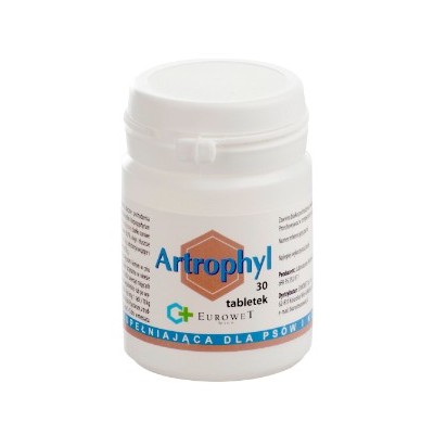 Artrophyl 30tabl. - układ ruchu