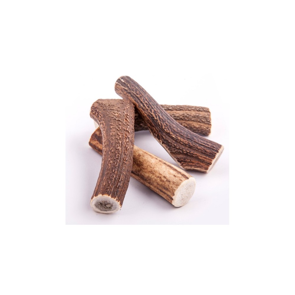 4DOGS Gryzak z poroża L hard