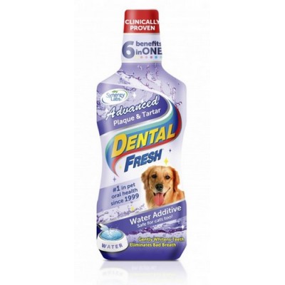 Dental Fresh Kamień & Osad 237ml