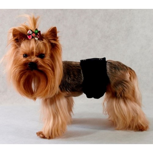 Grande Finale Pampas czarny - majtki dla samca rozmiar 3 [PA1/3]