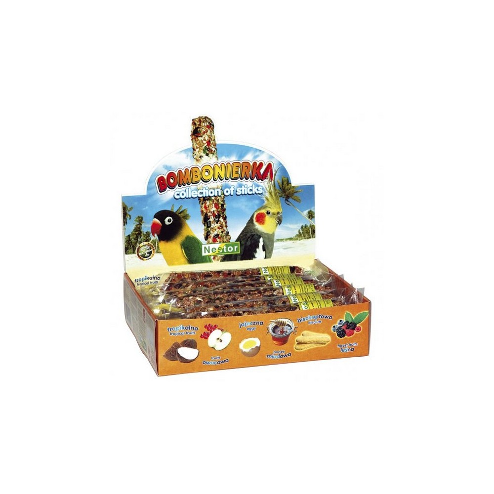 Nestor Bombonierka dla średnich papug