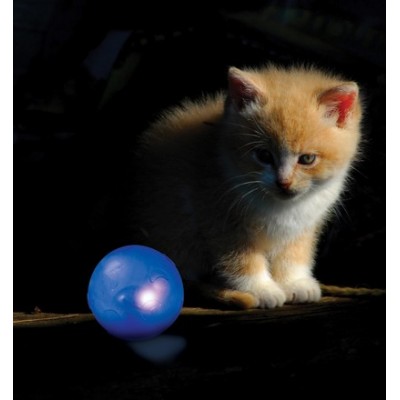 Petstages Piłka Migotka dla kota PS386