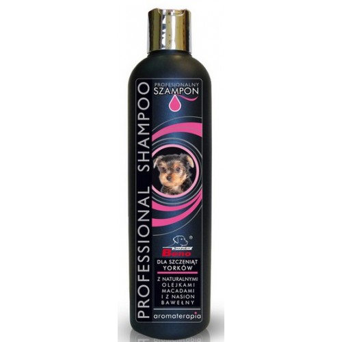 Certech Beno Professional Szampon York Junior 250ml