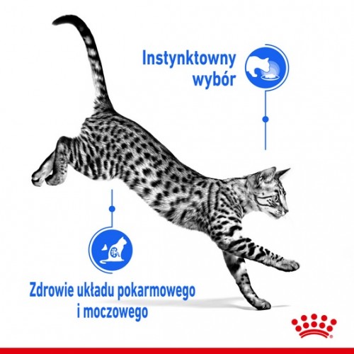 Royal Canin Indoor Sterilised Loaf karma mokra dla kotów dorosłych sterylizowanych, przebywających w domu saszetka 85g
