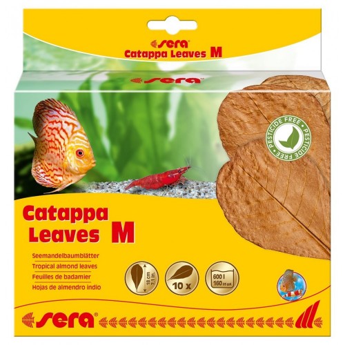 Liście migdałecznika - Catappa Leaves M, 18 cm, 10szt/OPAK