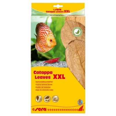 Liście migdałecznika - Catappa Leaves XXL, 32 cm, 10szt/OPAK