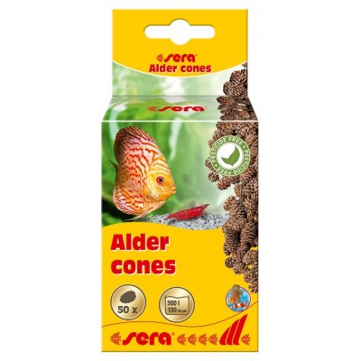 Szyszki olchy - Alder cones 50szt/OPAK