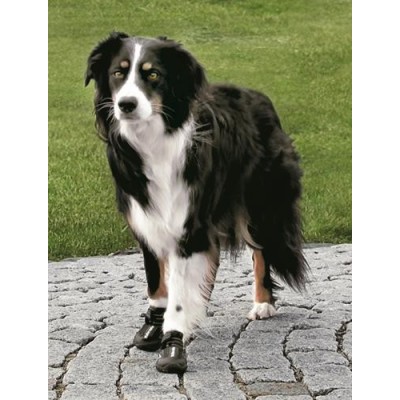 BUTY OCHRONNE Walker Active, M, 2 szt.