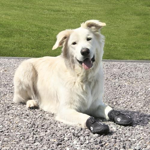 BUTY OCHRONNE Walker Active, L, 2 szt.