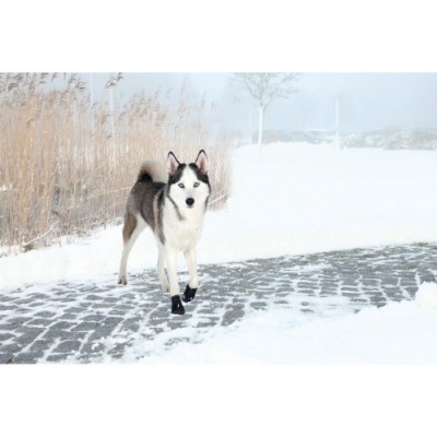 BUTY OCHRONNE Walker Active, L-XL, 2 szt.