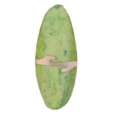 SEPIA SMAKOWA 24szt.