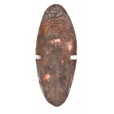 SEPIA SMAKOWA 24szt.