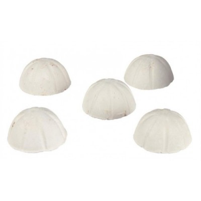 POKARM WEKENDOWY DLA RYB 5szt/op.