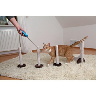 Wskaźnik treningowy dla kota