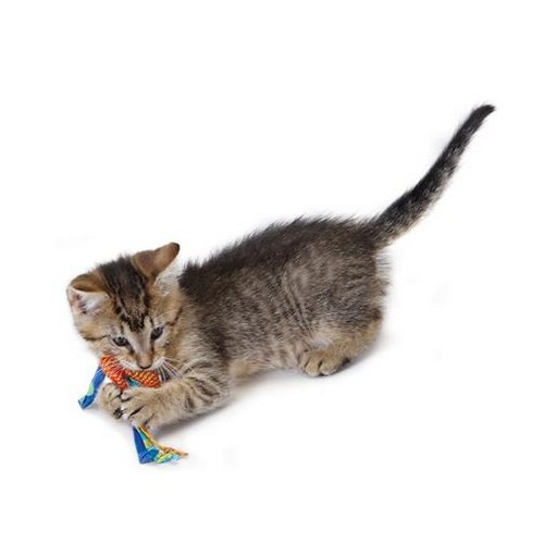 Petstages Gryzaki do higieny zębów kota PS326