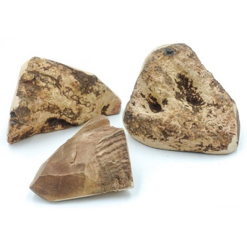 4DOGS Gryzak z korzenia drzewa wrzosowego M