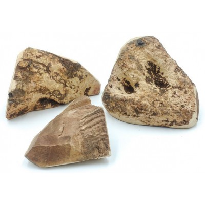 4DOGS Gryzak z korzenia drzewa wrzosowego M