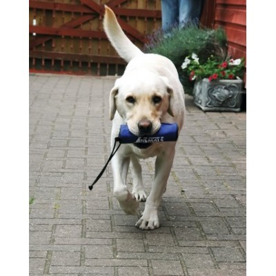 Clix Retriever - akcesorium treningowe - niebieski