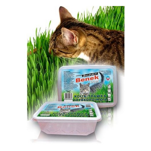 Super Benek Trawka szybkorosnąca dla kota 150g