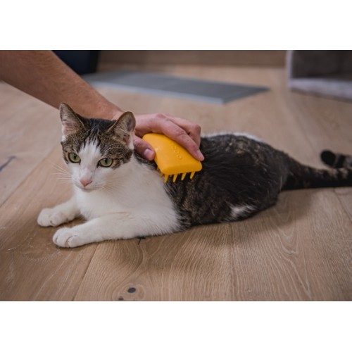 Fiboo Miękka szczotka dla kota żółta