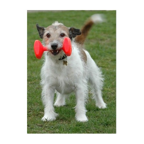 Clix Dumbbell Aport średni